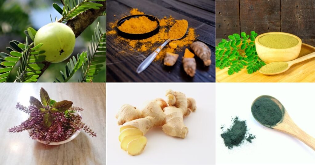 Organic Immunity Booster